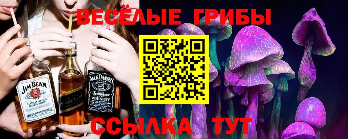 Галлюциногенные грибы прущие грибы  Галлюциногенные грибы Cubensis  Вход с VPN  Коломна 